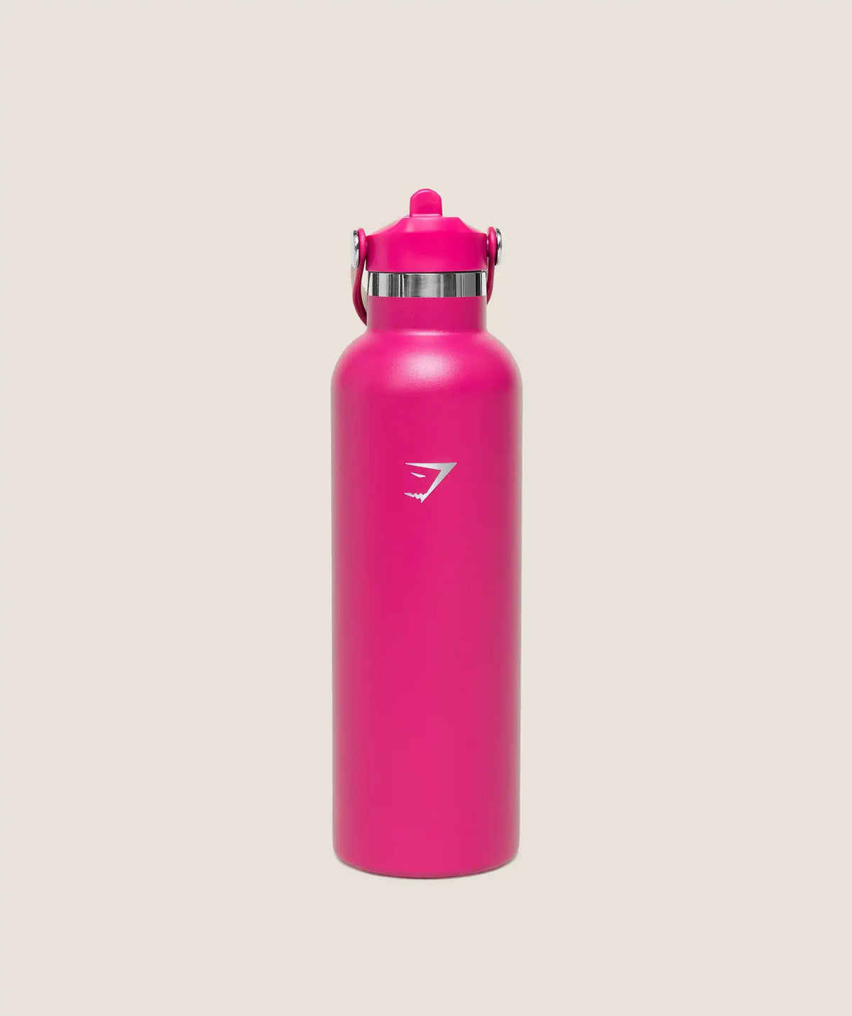 700ml Metal Insulated Straw Bottle